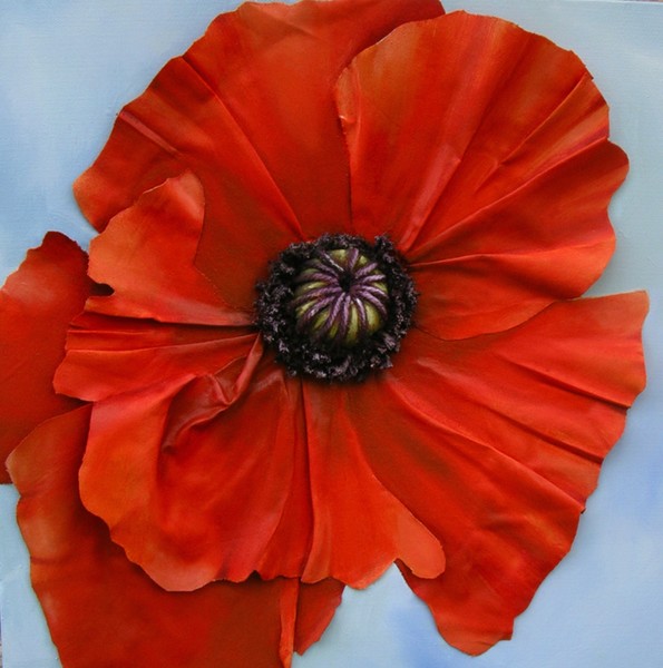 Poppy by cathy