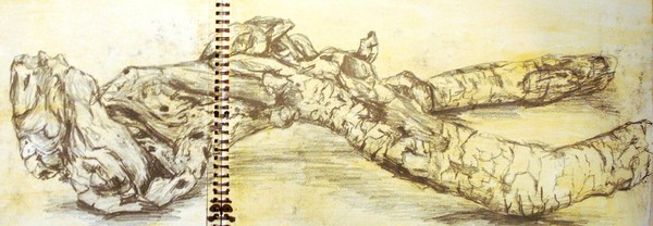 The Log Part II