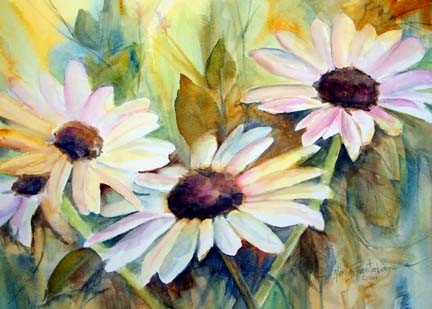 Daisy