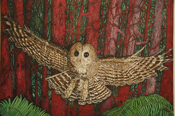 Wise Owl Ways