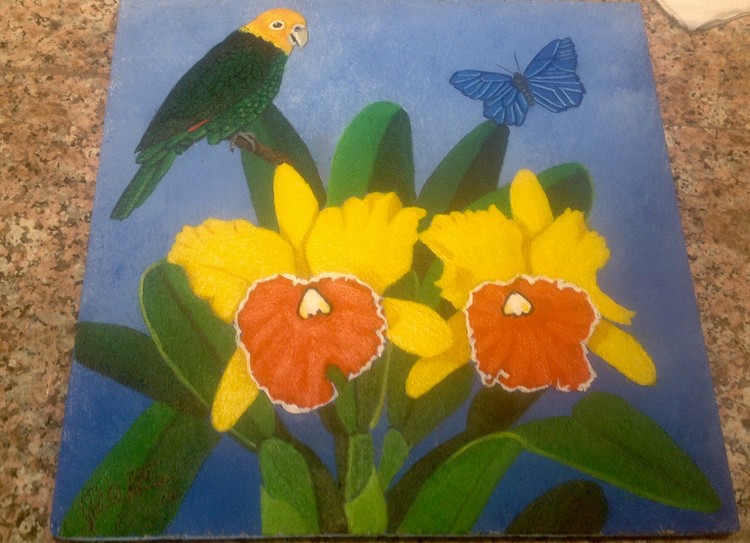 YELLOW CATTLAYAS & YELLOW HEAD PARROT