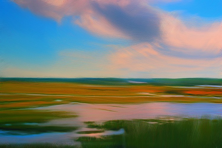 Salt marshes. Florida. 