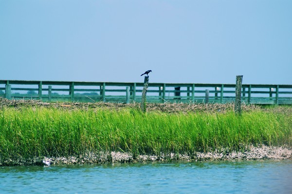 At the Dock