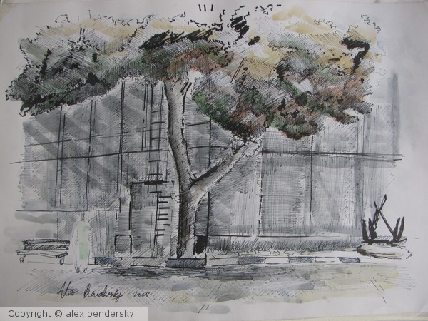 A Tree In A Training Base