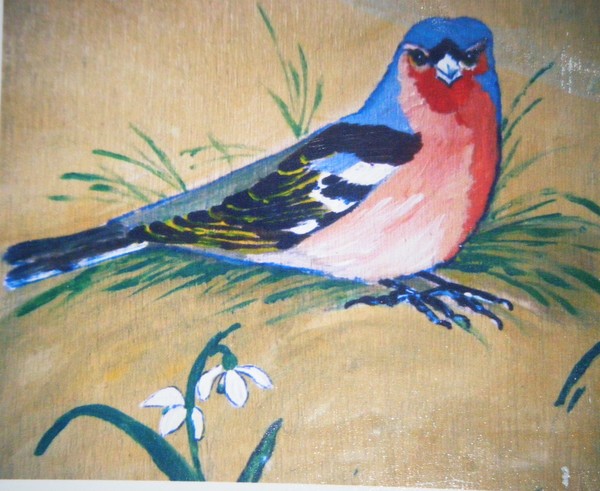Chaffinch