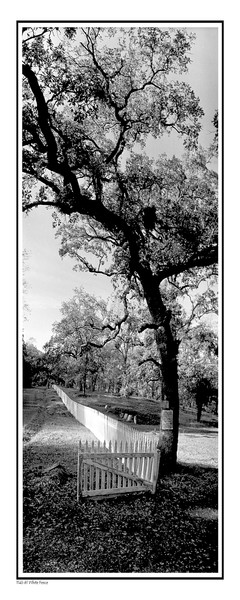 1143 61 White Fence CARD