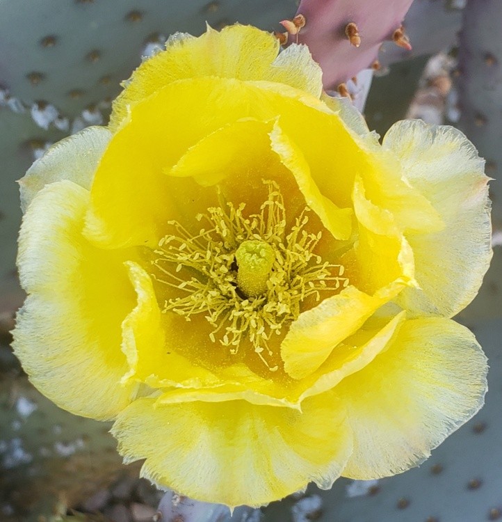 20200414 175452 (1)