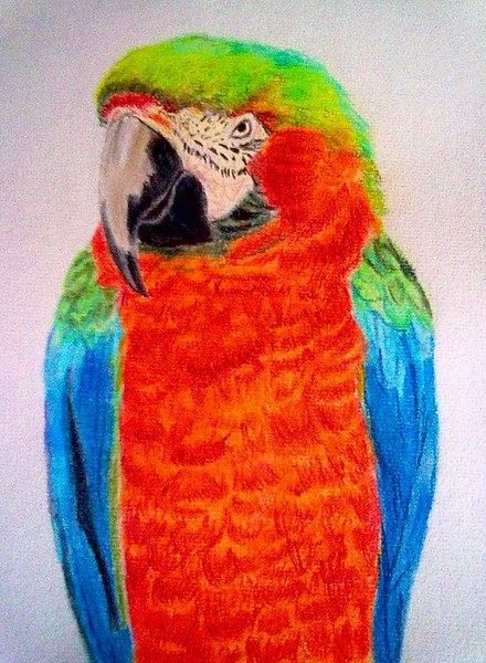 Whose a Pretty Boy Then?