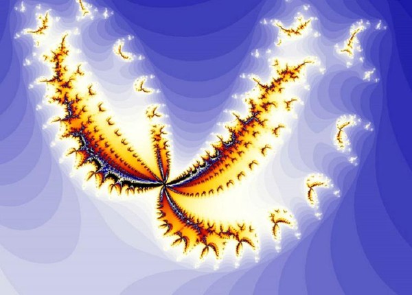 Bird_of_Fire