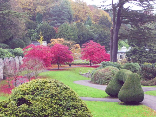 Garden at Alton Towers