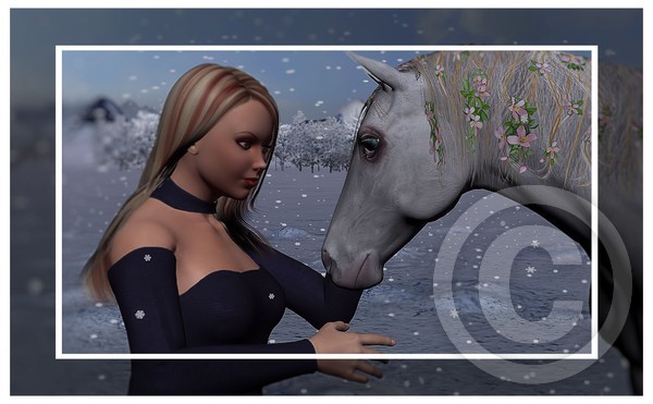 Beautiful Winter