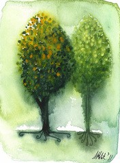 3433583- 2 trees