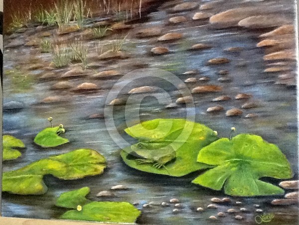 Lily Pond