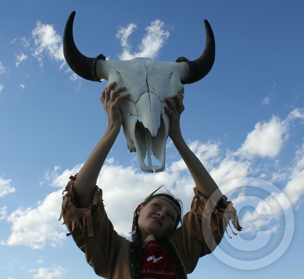Buffalo Spirit