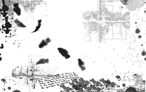Distorted Freedom