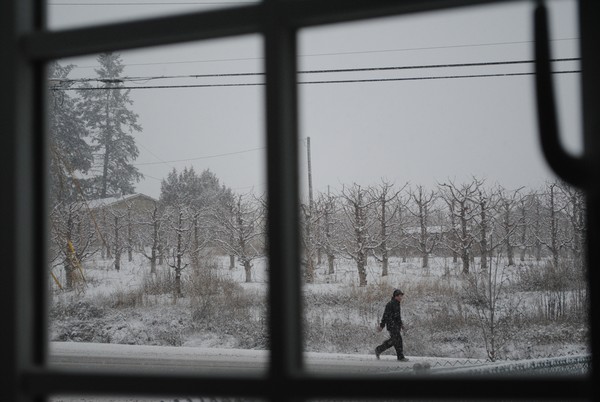 Young man who walks in all weather