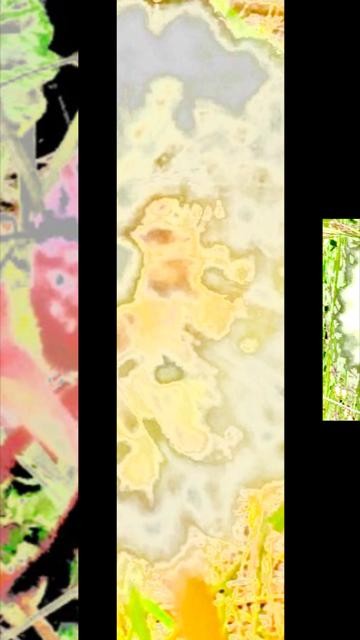 thumbnail-824