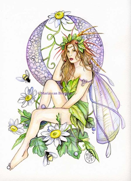 Summer Dreams