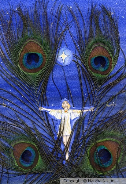 Stars and Feathers