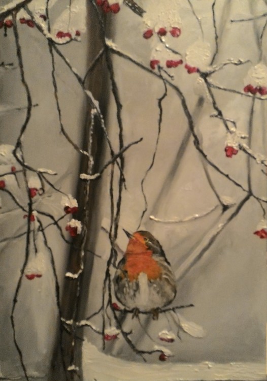 Pettirosso