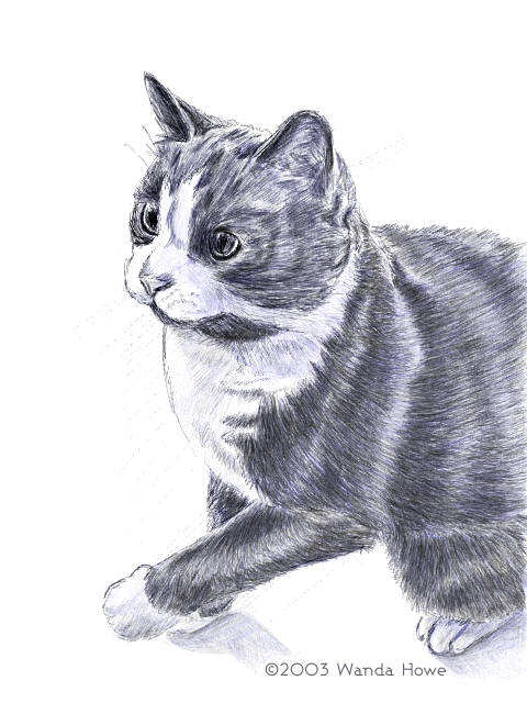 Sully Sketch