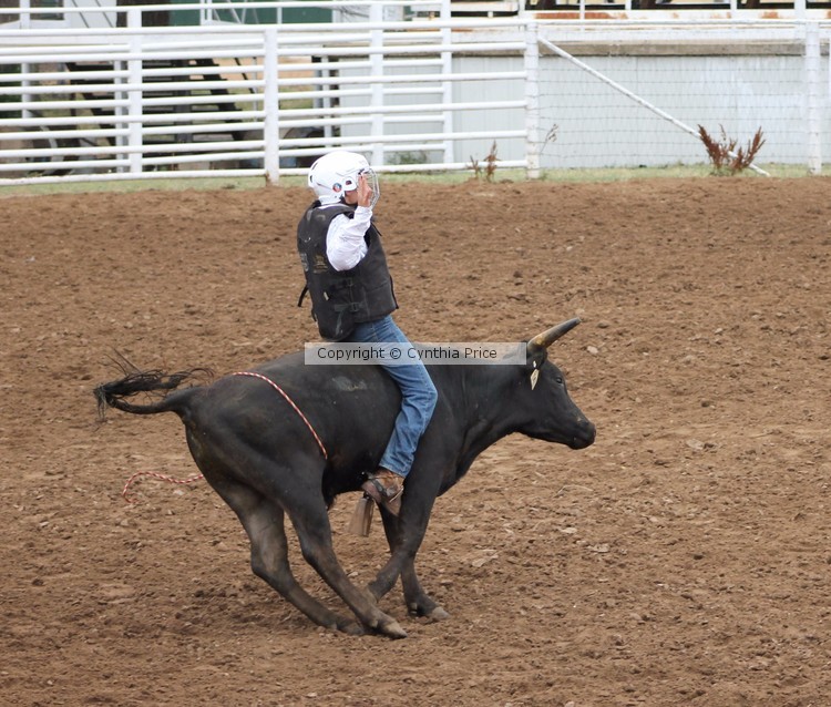Steer Rider
