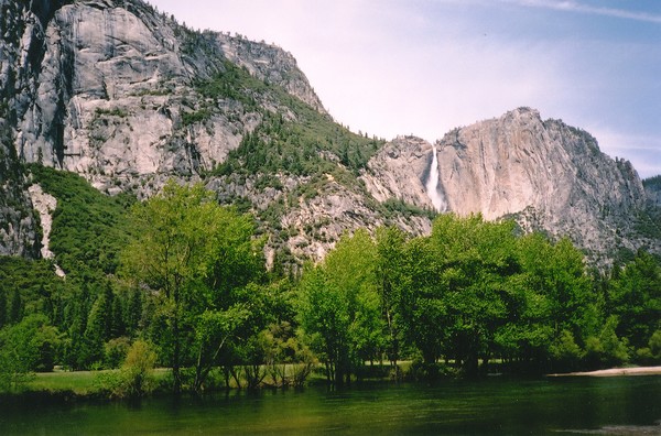 The Picnic Spot