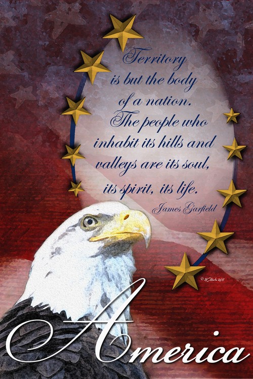 America Bald Eagle Poster