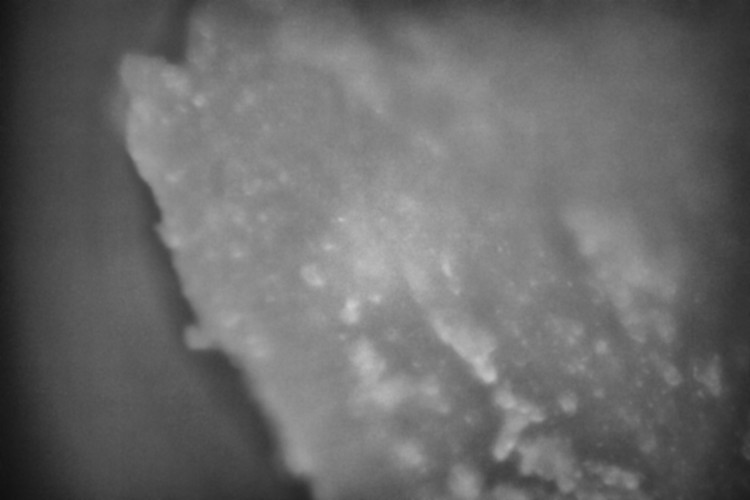 Macro  Space #6
