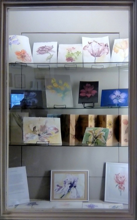 Larkspur Library Display Case Photograph
