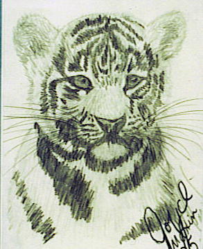 Tiger Cub