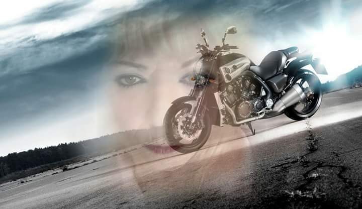 Harley dreaming
