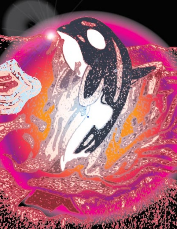 Whale Sketch Revised