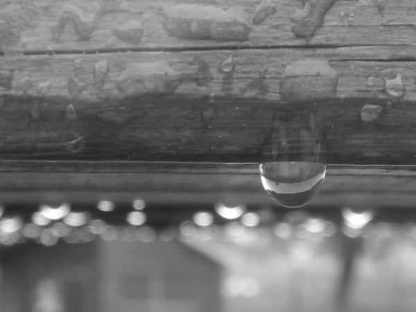 Water drop