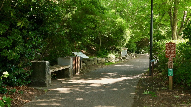 Sunday in the Park