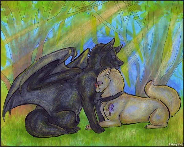 Together in the Forest