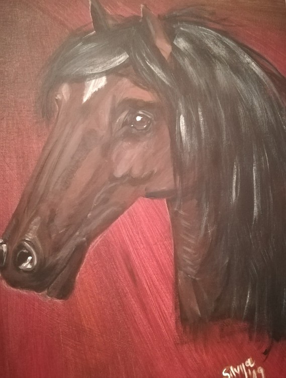 Mr. Horse