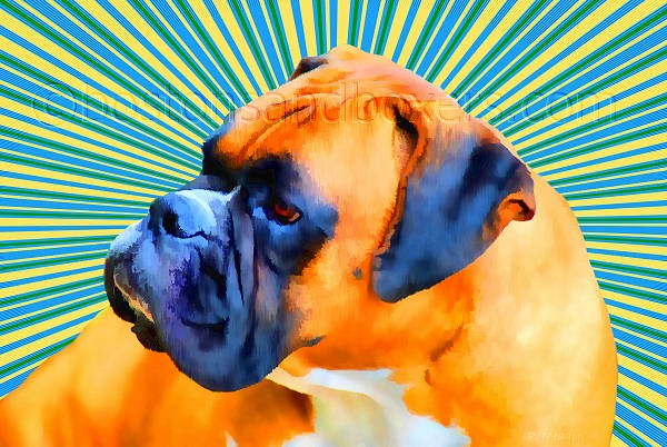 Boxer Pop Art