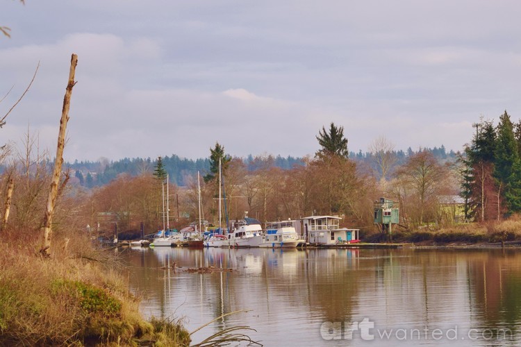 River's edge