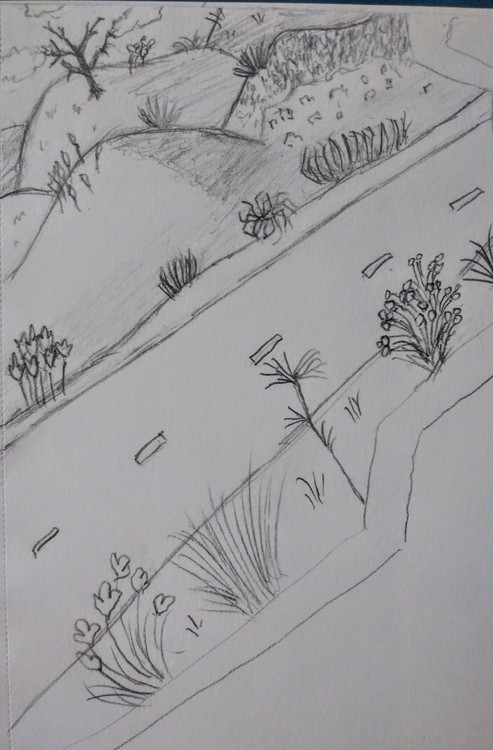 Desert Road