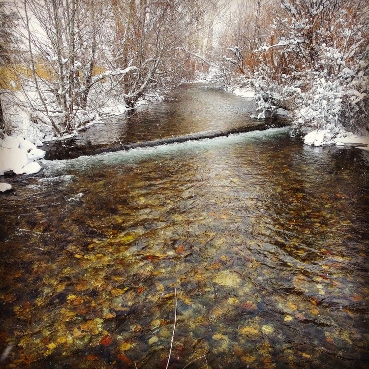 IMG 20210214 122051 471