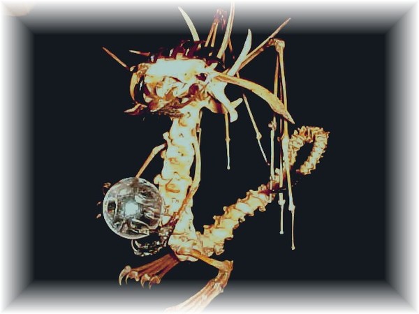 crystal dragon