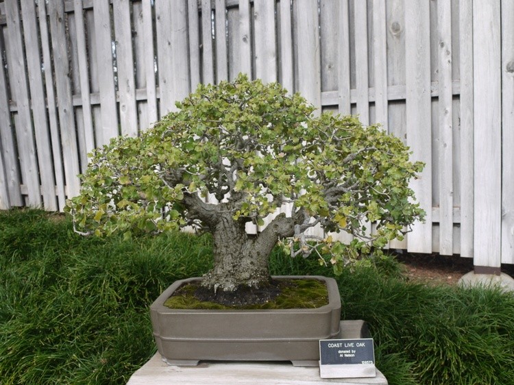 P1230028