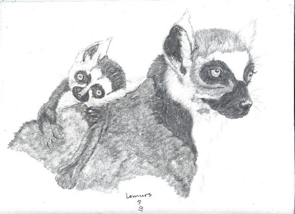 Lemurs