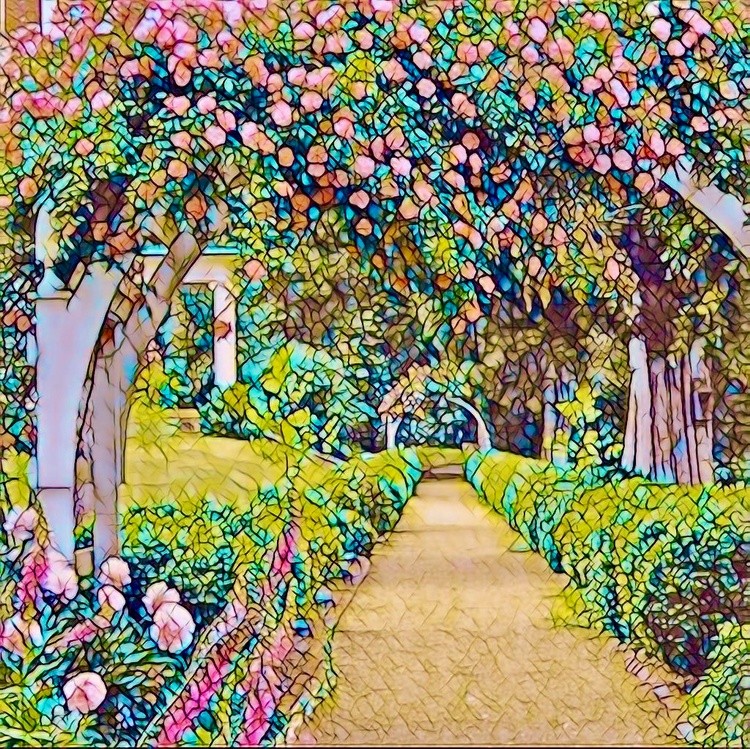 The Garden