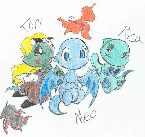 Shoyru Trio