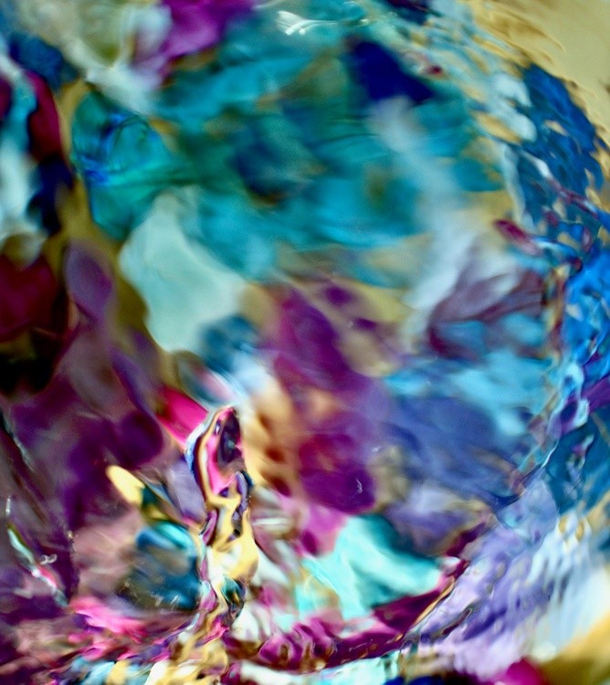 The Avex  Phoenix Within Us
