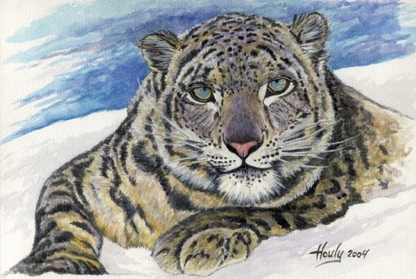 Icy Stare