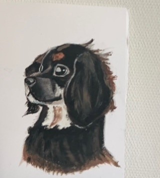 21072021 painteddog spaniel oilpainting  art artwork artist artofinstagram artistic artistsoninstagr