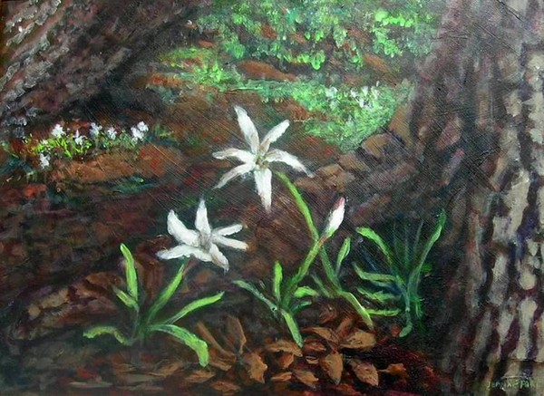 River Lilies